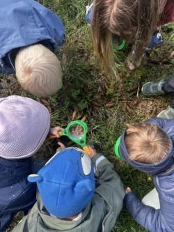 Fem barn studerer noe på bakken - Klikk for stort bilde